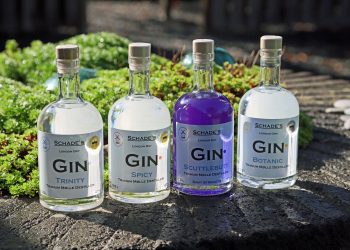 The Spirit of Tranum