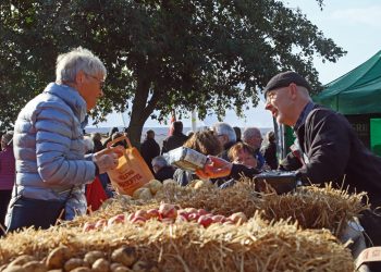 Glimt fra en lørdag i Vildmosen