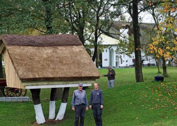 Rede i et fældet træ