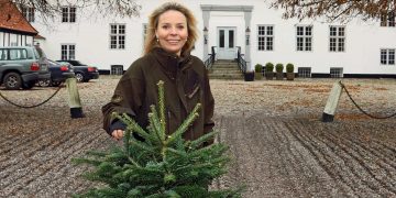 Juletræssælger anno 2019