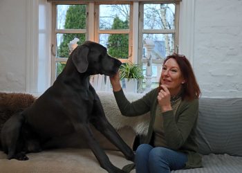 Vist er der dejligt på landet