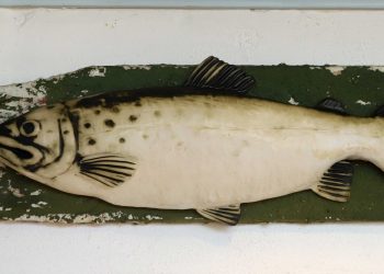 Ib Hugo Adelborg, en mand uden alder