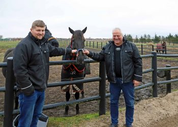 Slide So Easy – et hestehoved foran