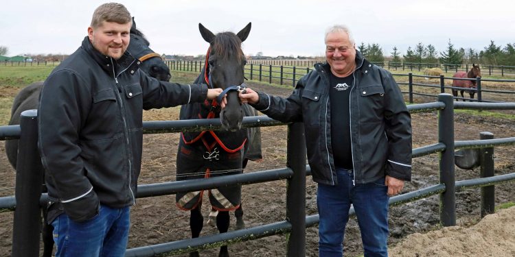 Slide So Easy – et hestehoved foran