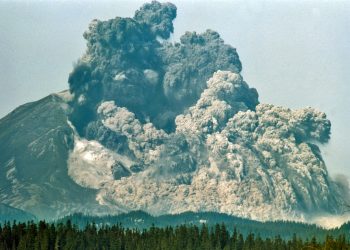 Hvad folk dog gør ved deres MODERSMÅL VIII