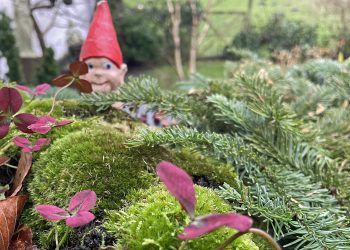 Nissens nedrige hævn over den invasive julemand