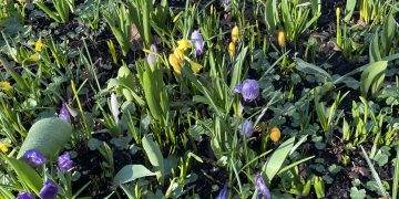 Noget om helte/Livet er en morgengave