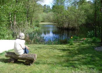 Naturen – en sindets balsam