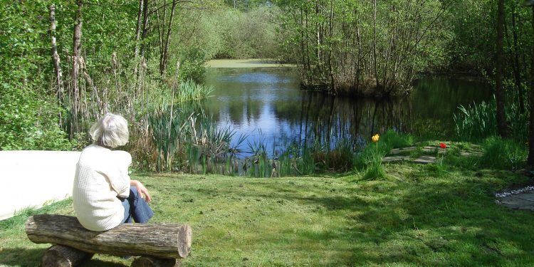 Naturen – en sindets balsam