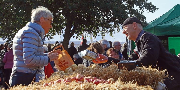Glimt fra en lørdag i Vildmosen