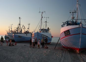 Velkommen til Bæredygtighedsfestival