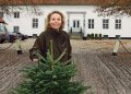 Juletræssælger anno 2019