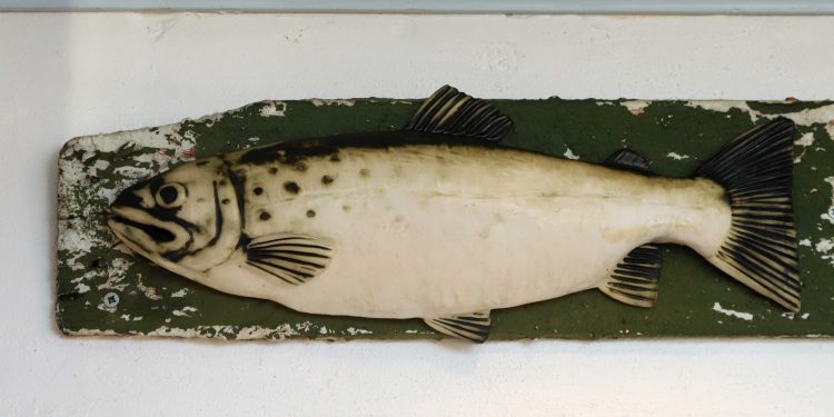 Ib Hugo Adelborg, en mand uden alder