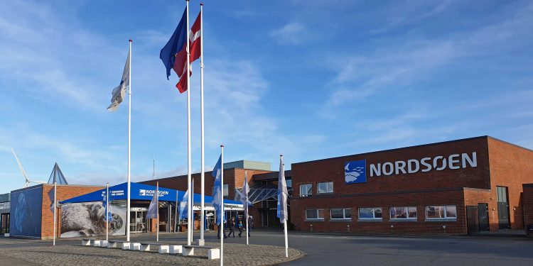 Tag til Hirtshals – og tag en sælfie. Det spændende liv i Nordsøen opleves hos Nordsøen Oceanarium