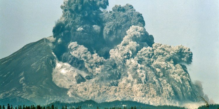 Hvad folk dog gør ved deres MODERSMÅL VIII