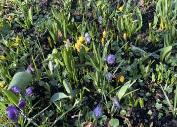 Noget om helte/Livet er en morgengave